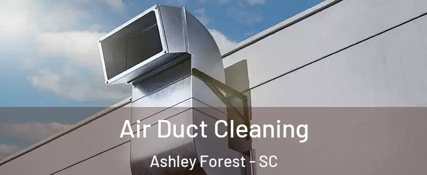 Air Duct Cleaning Ashley Forest - SC