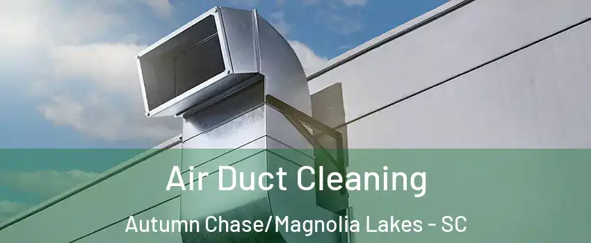 Air Duct Cleaning Autumn Chase/Magnolia Lakes - SC