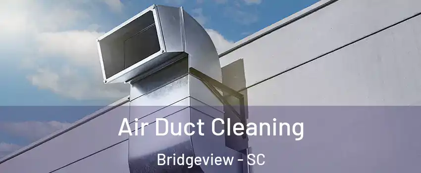 Air Duct Cleaning Bridgeview - SC