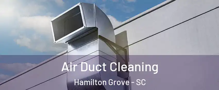 Air Duct Cleaning Hamilton Grove - SC