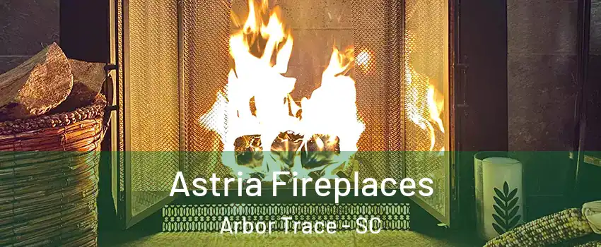 Astria Fireplaces Arbor Trace - SC