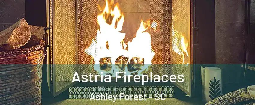 Astria Fireplaces Ashley Forest - SC