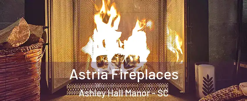 Astria Fireplaces Ashley Hall Manor - SC