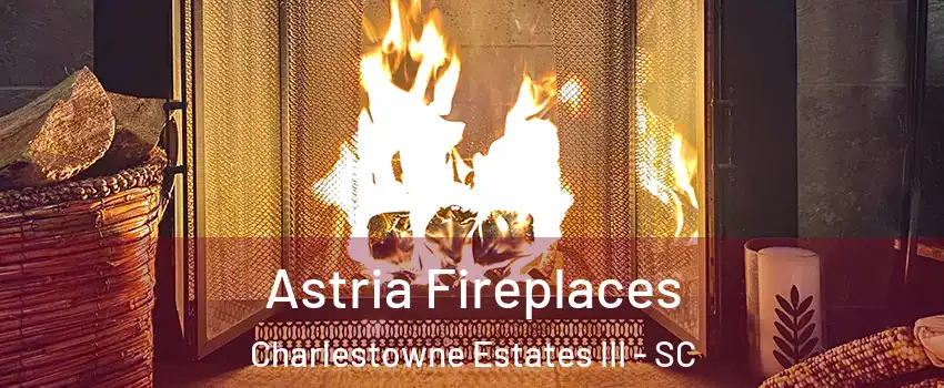 Astria Fireplaces Charlestowne Estates III - SC