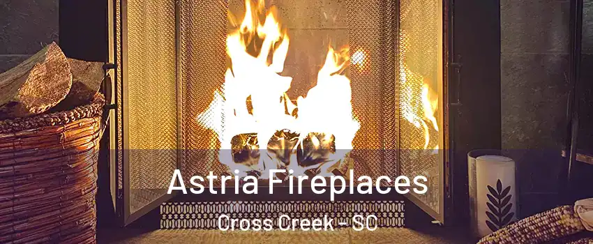 Astria Fireplaces Cross Creek - SC