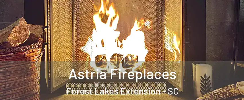 Astria Fireplaces Forest Lakes Extension - SC