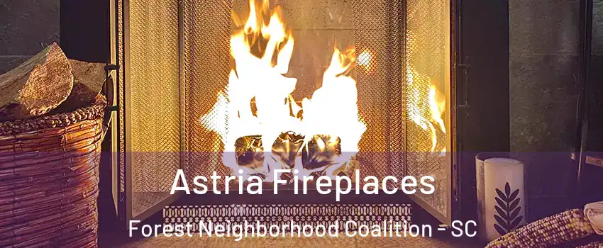 Astria Fireplaces Forest Neighborhood Coalition - SC