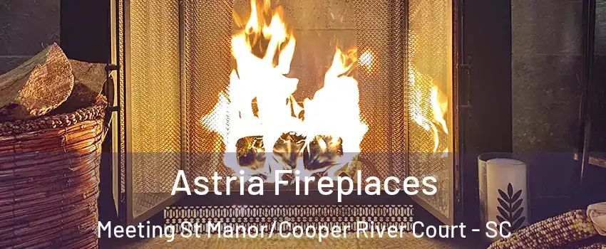 Astria Fireplaces Meeting St Manor/Cooper River Court - SC