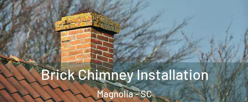 Brick Chimney Installation Magnolia - SC