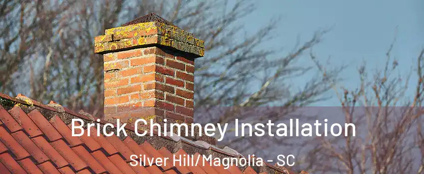 Brick Chimney Installation Silver Hill/Magnolia - SC