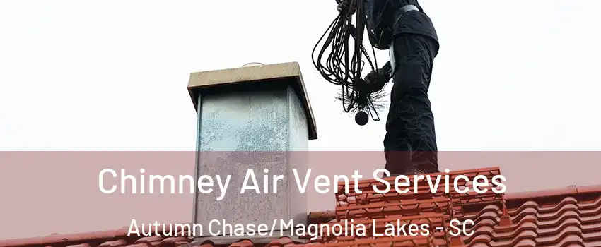 Chimney Air Vent Services Autumn Chase/Magnolia Lakes - SC