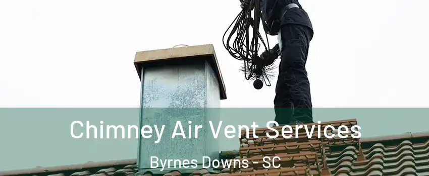 Chimney Air Vent Services Byrnes Downs - SC