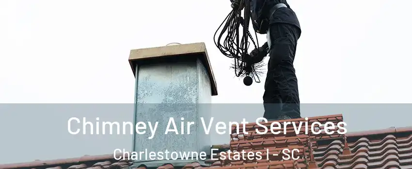 Chimney Air Vent Services Charlestowne Estates I - SC