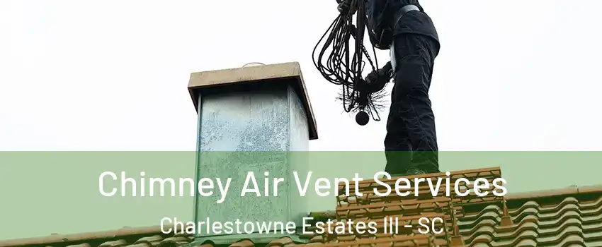 Chimney Air Vent Services Charlestowne Estates III - SC