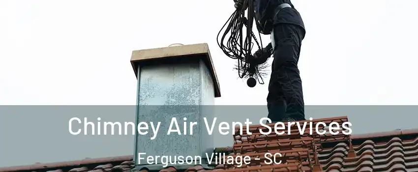 Chimney Air Vent Services Ferguson Village - SC