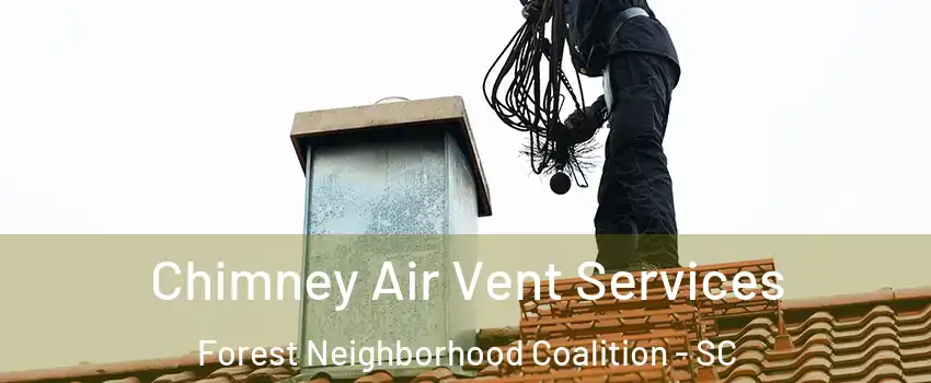 Chimney Air Vent Services Forest Neighborhood Coalition - SC