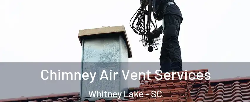 Chimney Air Vent Services Whitney Lake - SC