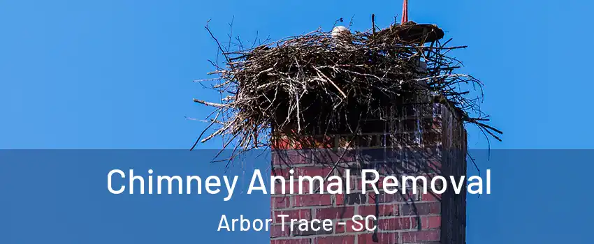 Chimney Animal Removal Arbor Trace - SC