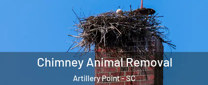 Chimney Animal Removal Artillery Point - SC