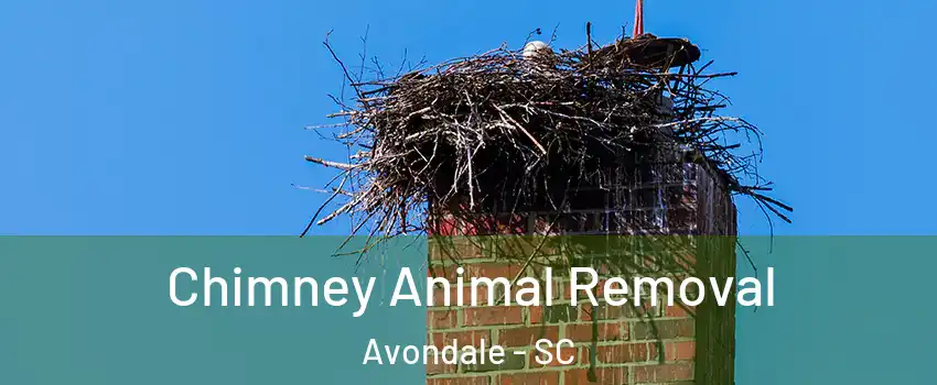 Chimney Animal Removal Avondale - SC