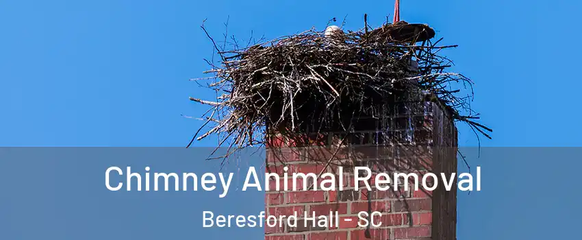 Chimney Animal Removal Beresford Hall - SC