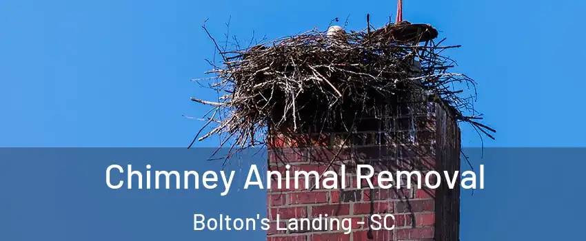 Chimney Animal Removal Bolton's Landing - SC