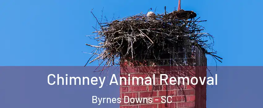 Chimney Animal Removal Byrnes Downs - SC