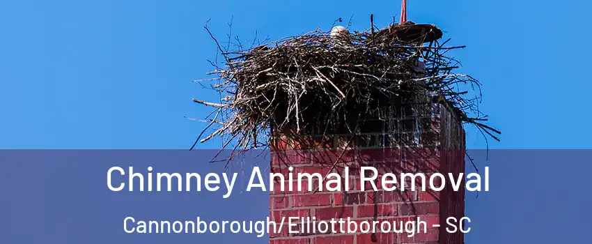 Chimney Animal Removal Cannonborough/Elliottborough - SC