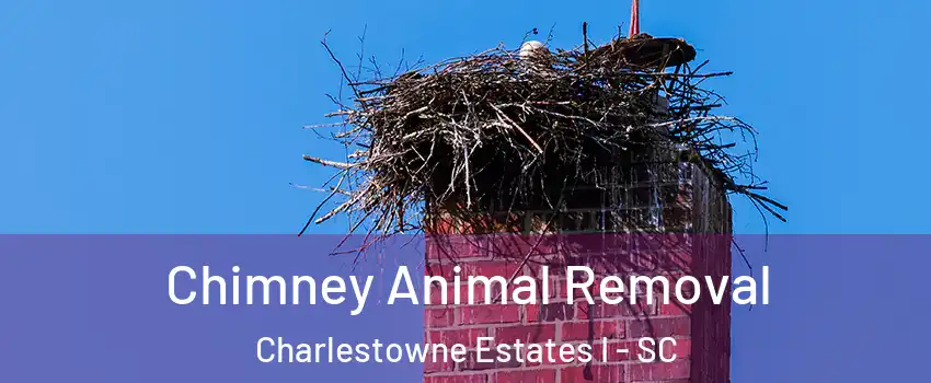 Chimney Animal Removal Charlestowne Estates I - SC