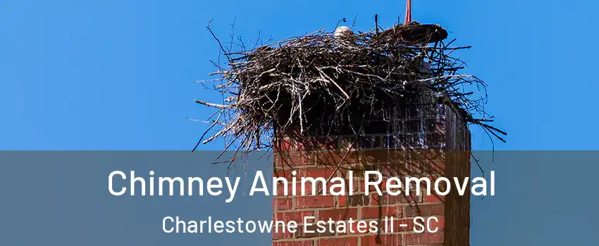 Chimney Animal Removal Charlestowne Estates II - SC