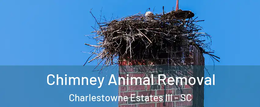 Chimney Animal Removal Charlestowne Estates III - SC