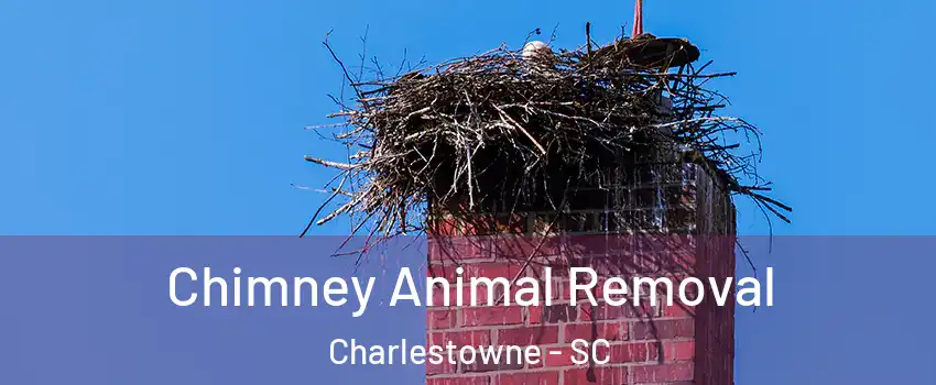 Chimney Animal Removal Charlestowne - SC