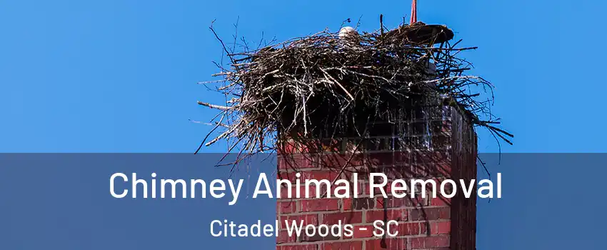 Chimney Animal Removal Citadel Woods - SC