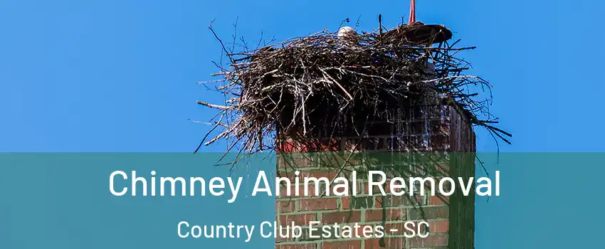 Chimney Animal Removal Country Club Estates - SC