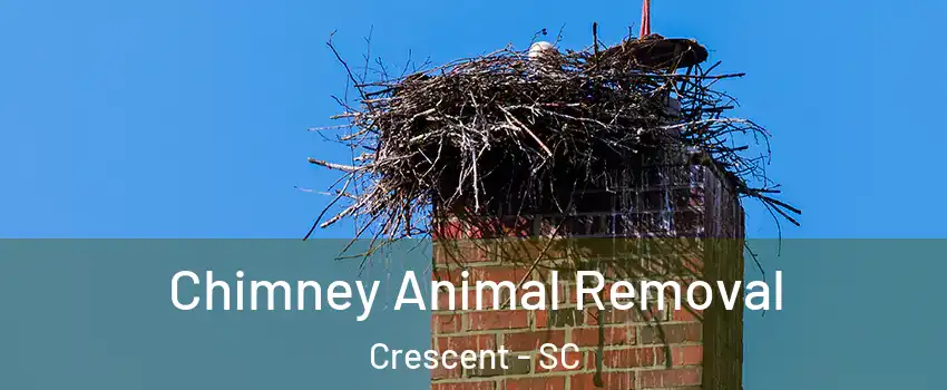 Chimney Animal Removal Crescent - SC