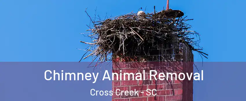 Chimney Animal Removal Cross Creek - SC