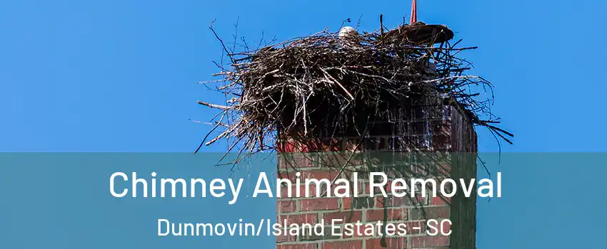 Chimney Animal Removal Dunmovin/Island Estates - SC