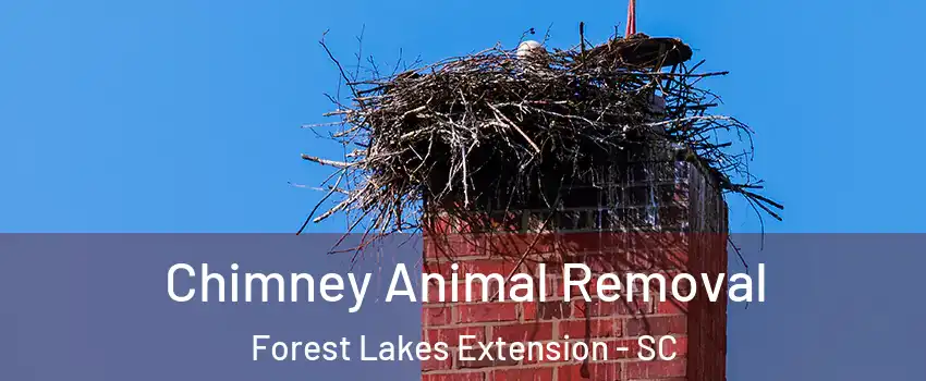 Chimney Animal Removal Forest Lakes Extension - SC