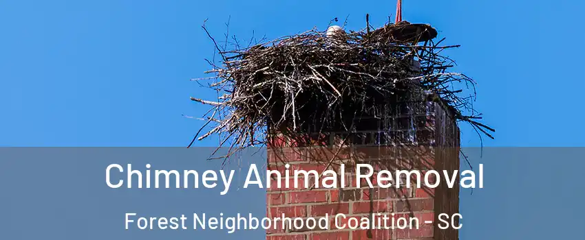 Chimney Animal Removal Forest Neighborhood Coalition - SC