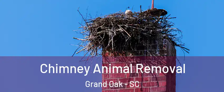 Chimney Animal Removal Grand Oak - SC