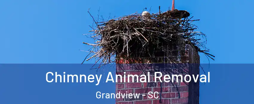 Chimney Animal Removal Grandview - SC