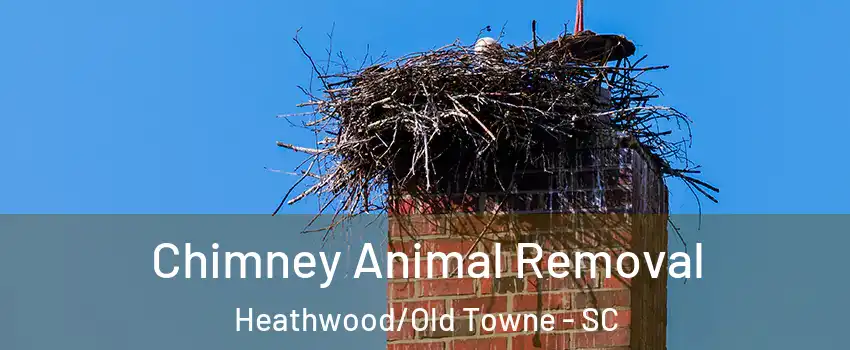 Chimney Animal Removal Heathwood/Old Towne - SC