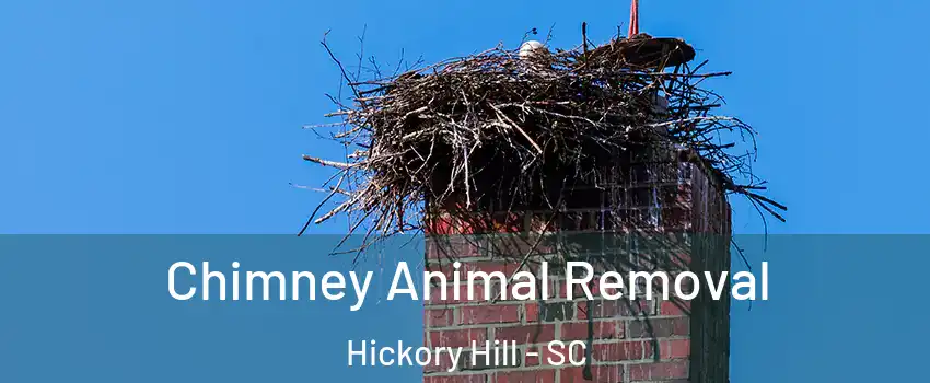 Chimney Animal Removal Hickory Hill - SC