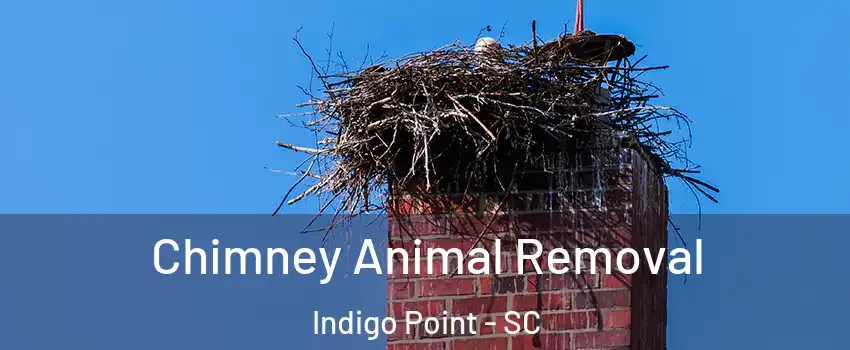 Chimney Animal Removal Indigo Point - SC