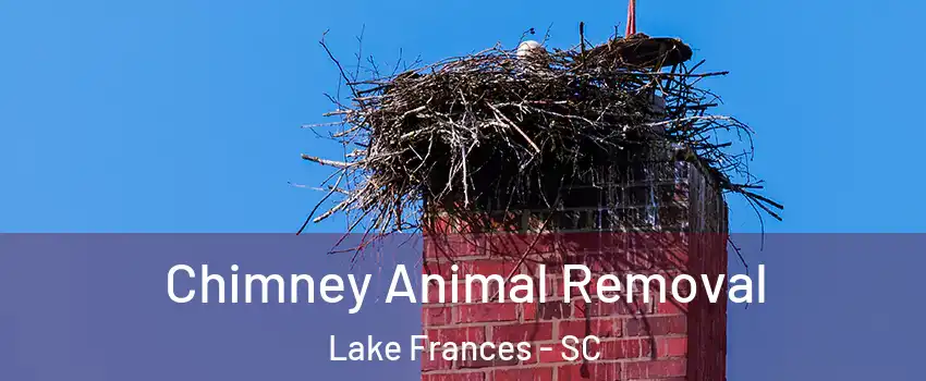 Chimney Animal Removal Lake Frances - SC