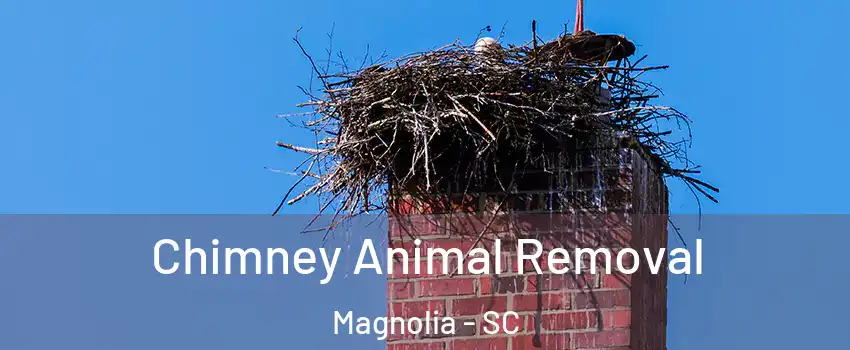 Chimney Animal Removal Magnolia - SC