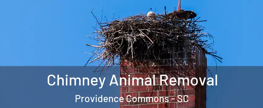 Chimney Animal Removal Providence Commons - SC