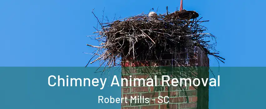 Chimney Animal Removal Robert Mills - SC