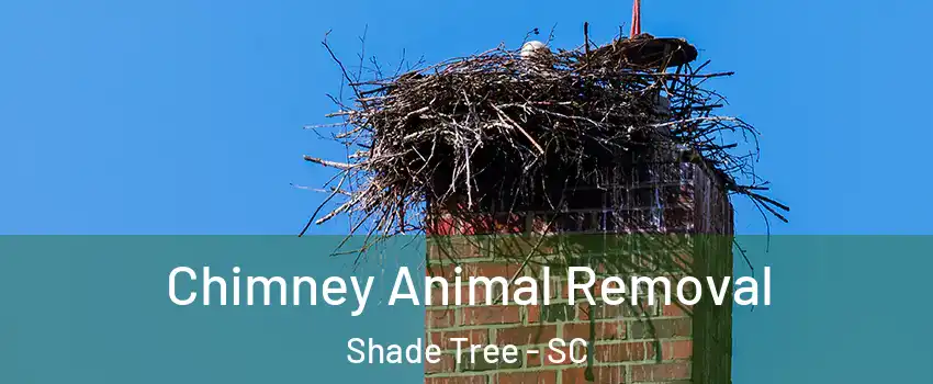 Chimney Animal Removal Shade Tree - SC