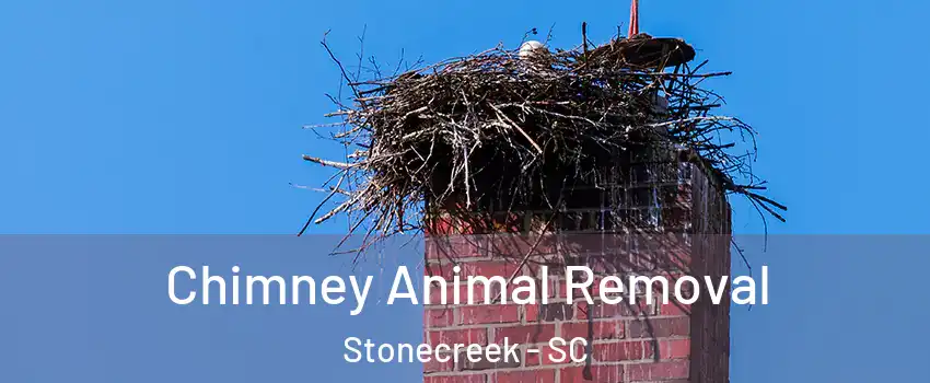 Chimney Animal Removal Stonecreek - SC